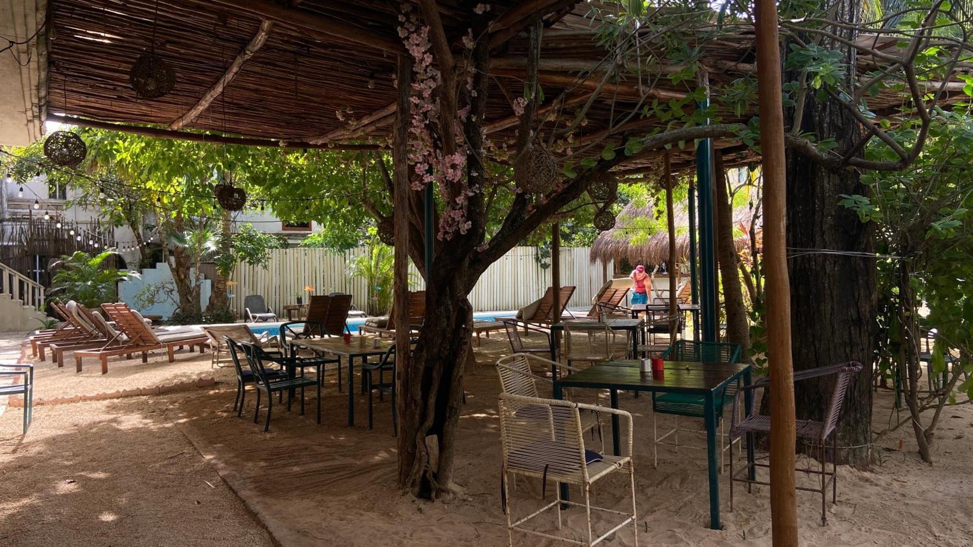 Isabella Boutique Hotel Playa del Carmen Extérieur photo