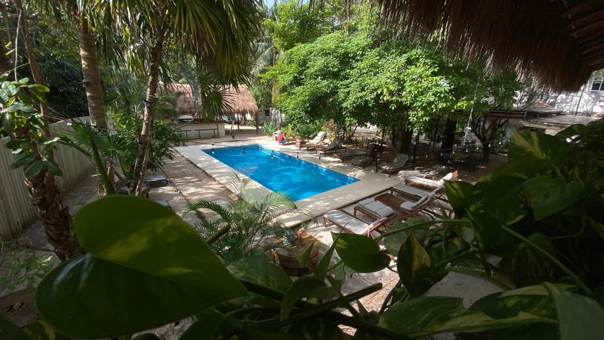Isabella Boutique Hotel Playa del Carmen Extérieur photo