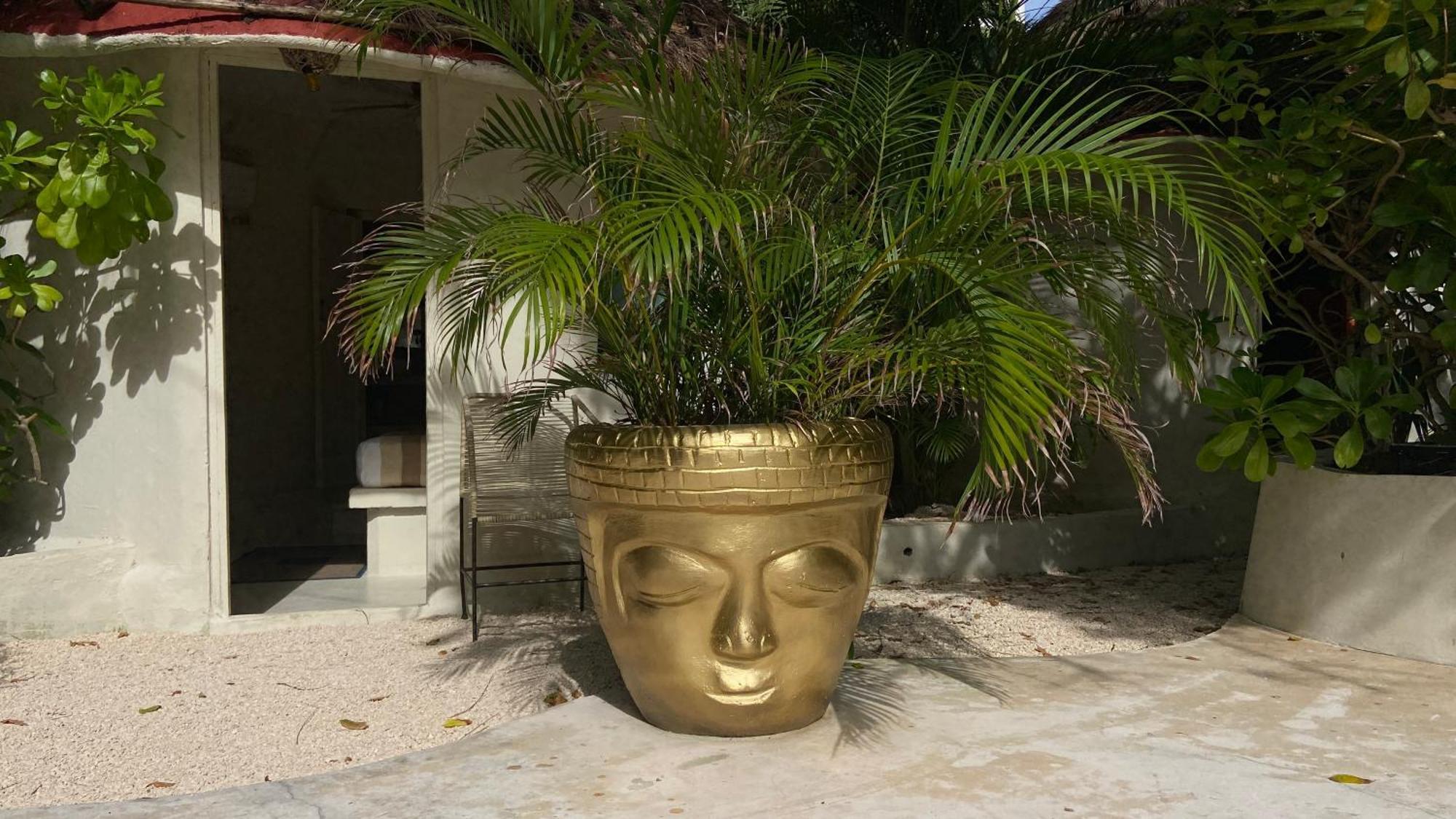 Isabella Boutique Hotel Playa del Carmen Extérieur photo